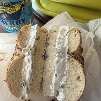   at Tompkins Square Bagels in New York City