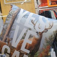 Yes Ve Gan at LeeLoo at Leeloo Bvba in Bruges