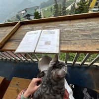 View  at Paradise Restaurant  in Sapa