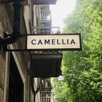 Outside  at Camellia in Turin