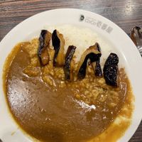 Vegan Aubergine curry   at Coco Ichibanya in Hiroshima