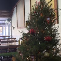 Pizza tree at Pizzaiola in Ensenada