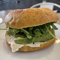Bagel  at Fix & Repeat in Bend