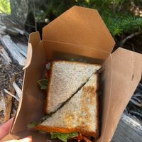 “IT” SANDO on the trail at Fix & Repeat in Bend