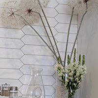 Plant Decor at Fix & Repeat in Bend