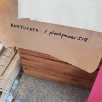 Wifi 🤗 at And 유 (Yu) Cafe in Jeju