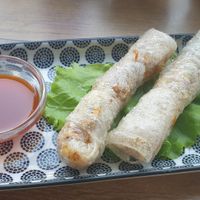 Vegan spring rolls at Ngon in Maribor