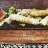 Spring roll with tofu at Ngon in Maribor