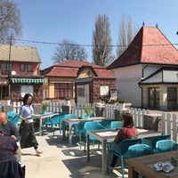Terrace at Veganeeta Home in Balatonalmadi