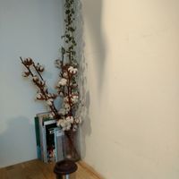 decor at kaf coffee in Glasgow