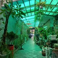  at Bambu Chinese Brasserie in Rome