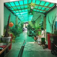  at Bambu Chinese Brasserie in Rome