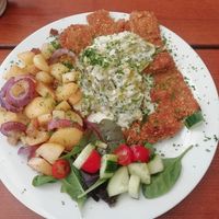 Schnitzel mit Lauch-Senfsauce at Gasthof Falkenhorst in Burig