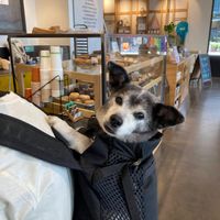  at Mighty-O Donuts - Denny Triangle in Seattle