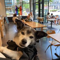  at Mighty-O Donuts - Denny Triangle in Seattle