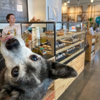  at Mighty-O Donuts - Denny Triangle in Seattle