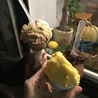 Sorvete “normal” (cone) e vegano (copo)  at Nannarella in Lisbon