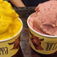  at Cuppa Turca in Northcote