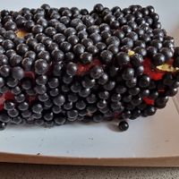  at Cuppa Turca in Northcote