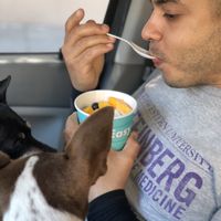 Lime flavored base with mango and blueberry toppings at Easy Breezy in San Francisco