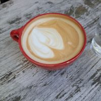  at Schadzi Cafe in Linz