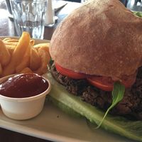 vegan burger (wasn’t spicy at all as said on menu) at Due South in Albany