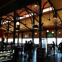  at Due South in Albany