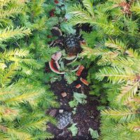  at B&B Kuca Bajlo in Zadar