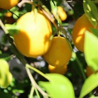   at B&B Kuca Bajlo in Zadar