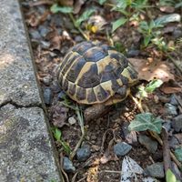  at B&B Kuca Bajlo in Zadar