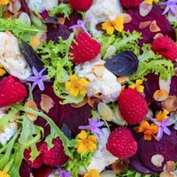 vegetarian buffet at B&B Kuca Bajlo in Zadar