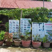 Beachside Tacos at Beachside Tacos in Kep