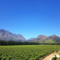 Beautiful scenery at Generous Earth Vegan Tours in Camps Bay