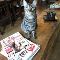 Curious customer  at Espacio ASH in Montevideo