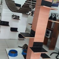 Gatoteca at Espacio ASH in Montevideo