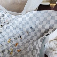 This is what's left of our veggie plate with falafel and fried  eggplant sandwich...Very delicious! The guy working was knowledgeable of what was vegan. He substituted the baba gha at King O Falafel in Kissimmee