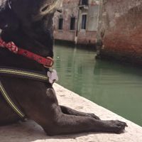  at Sullaluna in Venice