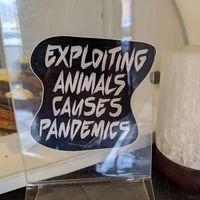 Art at Birch Bark Eatery in Glen Falls