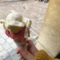  at Oyya in Bruges