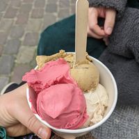  at Oyya in Bruges