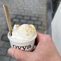  at Oyya in Bruges