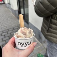   at Oyya in Bruges