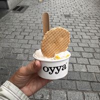   at Oyya in Bruges