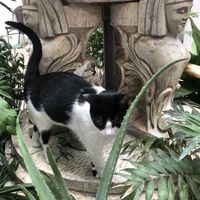 Had some good company😄 at Mango Cafe in Mijas