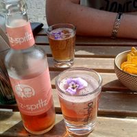 Fritz-Spritz Sparkling Rhubarb Bio.  at Blackbird in Bruges