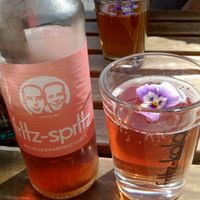 Fritz-Spritz Sparkling Rhubarb Bio. at Blackbird in Bruges