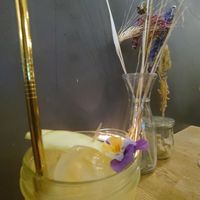  at Blackbird in Bruges