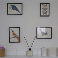  at Blackbird in Bruges