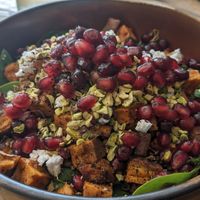  at Blackbird in Bruges