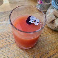 Pink grapefruit juice at Blackbird in Bruges